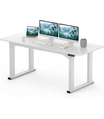 FlexiSpot Sanodesk EC5 フレームのみ ホワイト FlexiSpot Sanodesk EC5 フレームのみ ホワイト FlexiSpot Sanodesk